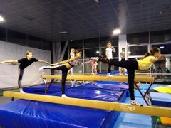 Individualni trening gimnastike