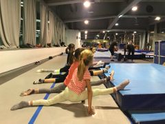 Individualni trening gimnastike